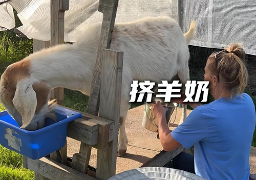 QQ图片20241119141726.jpg