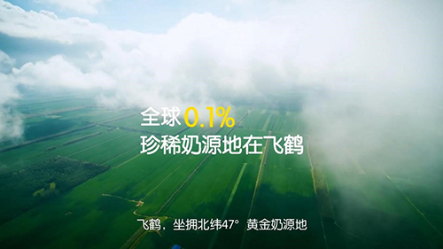 飞鹤加爱独立内码系统3.jpg